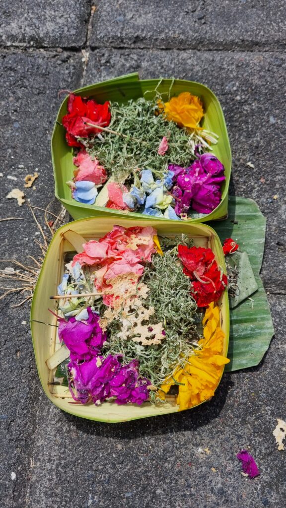 Canang sari con fiori colorati offerti per le strade di Bali
